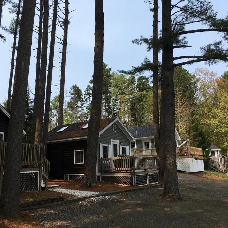 Pine Grove Cottages 林肯维尔 外观 照片